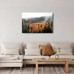 Kép - őszi erdő (90x60 cm)