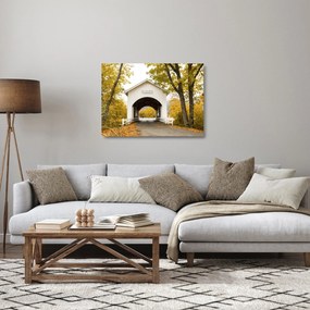 Híd képe Oregonban (üvegen) (70x50 cm)
