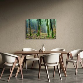 Az erdő képe (90x60 cm)