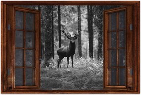 Poszterek 120x80 Szarvas az erdőben B&amp;w