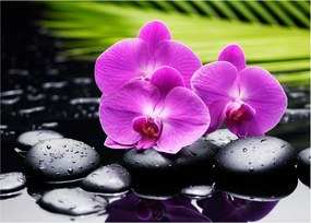 Üveg kép - Orchideák (70x50 cm)