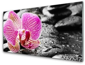 Modern üvegkép Orchidea virág Stones 120x60cm 2 fogas