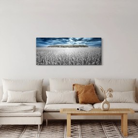 A mező képe (120x50 cm)