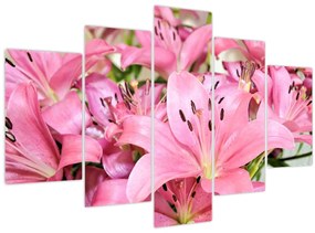 Kép - Rózsaszín liliomok (150x105 cm)