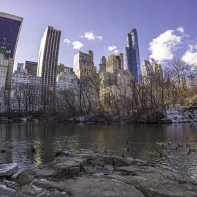 Poszter 40x40cm Alsó-Manhattan panoráma a Central Parkból, Assaf Frank