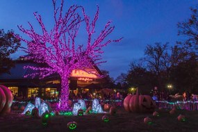 Napelemes LED fényfüzér zöld vezetékes pink