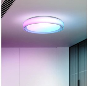 Solight Solight WO8015 - LED RGB Dimmelhető mennyezeti lámpa FLOCO LED/30W/230V+RGB/6W+RC d.40cm SL1610