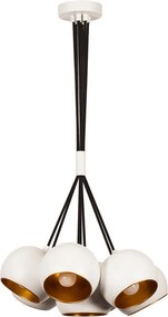 Sivani - MR-628