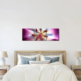 Kép - Tulipán virág részletesen (órával) (90x30 cm)