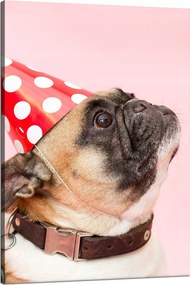 Ifjúsági Vászonkép Mopsz Születésnap Állatok Természet Kutya 80x120
