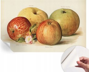 Dekoratív öntapadós fotótapéta Hálószobába Alma virágok 416x254 cm