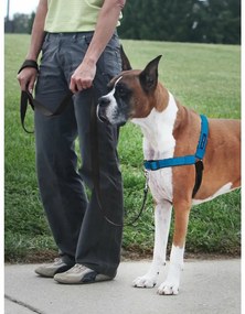 PetSafe Hám EasyWalk Deluxe kék M/L méret