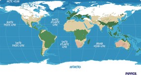 PIPPER. Öntapadós textiltapéta " Gyerek világtérkép"