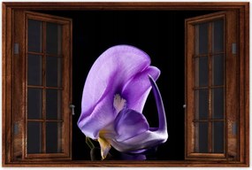 Poszterek 90x60 Nőnap Ajándék Love