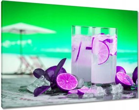 Vászonkép 100x70 Martini italok a nyárra