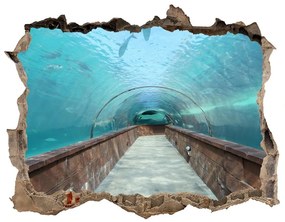 3d-s lyuk vizuális effektusok matrica Az alagút akvárium nd-k-82197217