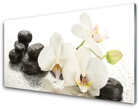 Akril üveg kép Stones virág növény 125x50 cm