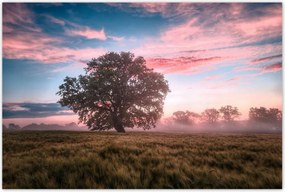 Poszterek 120x80 Candy tájkép Köd