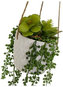 Műnövény (magasság 40 cm) – Casa Selección