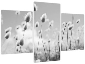 Kép - Boho nyuszi farok fű (90x60 cm)