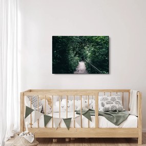 Kép - Az erdőn át vezető út (90x60 cm)