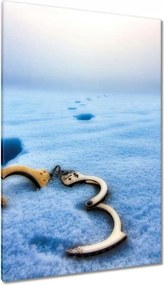 Festmények 80x120 HardCore Design Photo Hc