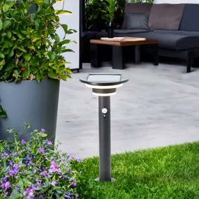 Brilliant - LED Napelemes lámpa érzékelővel GARVINA LED/3W/3,7V 45 cm IP44 fekete