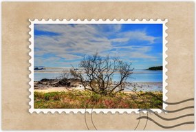 Poszterek 90x60 Kilátás a tengerpartról