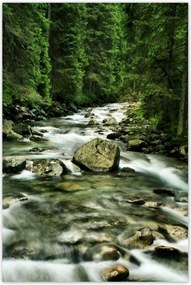 Poszterek 80x120 Folyó a Tátrában