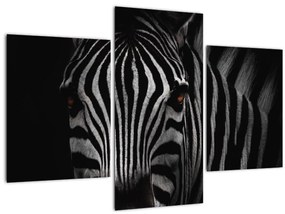 Zebra képe (90x60 cm)