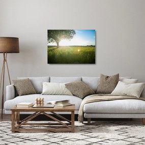 Nyári rét képe (üvegen) (70x50 cm)