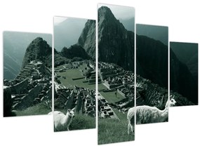 Kép - Lámák a perui Machu Picchunál (150x105 cm)