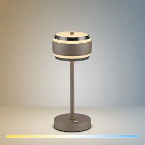 Paul Neuhaus modern asztali lámpa pure falling rings barna króm pln4503-97