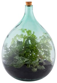 Florárium eszközökkel, 35 literes
