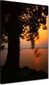 Vászonkép 80x120 Fa Napnyugta