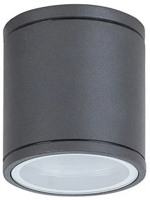 Rábalux Akron 8150 kültéri mennyezeti lámpa, 35W GU10