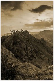 Poszterek 60x90 Barna tájkép Tájkép