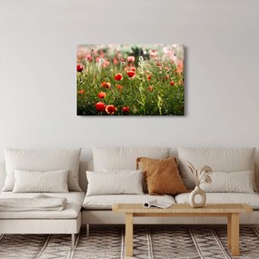 Pipacsok képe (90x60 cm)
