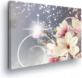 Vászonkép 80x60 Magnólia virágok tavasz finomság ragyogás absztrakt dekoráció