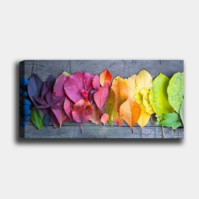 Vászonkép, 30×80 cm – TR483TNS1382