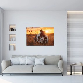 Kép - Ló naplementében (90x60 cm)