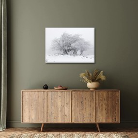 Kép - fehér tél (70x50 cm)