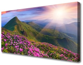 Vászonkép Mountain Meadow Virág Tájkép 100x50 cm
