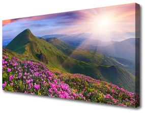 Vászonkép Mountain Meadow Virág Tájkép 120x60 cm