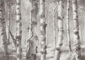 Fotótapéta Flizelina Nappali és Hálószoba Nyírerdő 208x146 Ragasztó