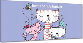 Képek 180x90 Cica Cicák Macskák