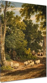 Vászonkép 80x120 Bárányok bárányok