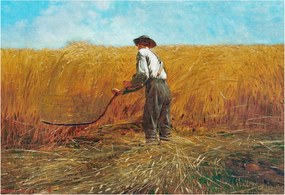 Flizelin fotótapéta Flizelin Design Aratás a napfényben 152x104