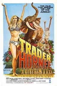 Illusztráció Trader Hornee