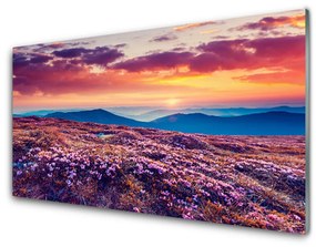 Modern üvegkép Mező Mountain Nature Flowers 100x50 cm 4 fogas